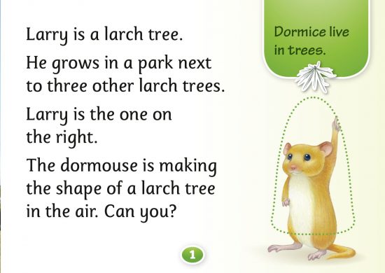 Larch Trees, Hello Trees, Kate Bretherton, Tree Books for children, books about UK trees