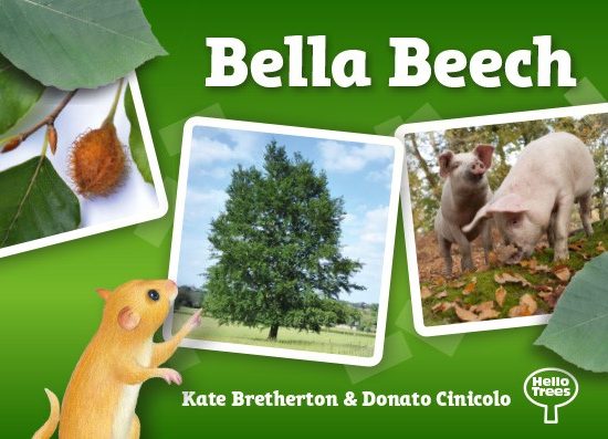Hello Trees, Beech Trees, Tree books for children, Kate Bretherton