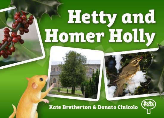 Hello Trees, Holly, Holly trees, Tree books for children, books about Holly, Kate Bretherton