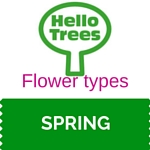 Types of tree flower